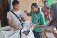 Kasie Pengawasan Komoditi Perkebunan, Dinas Perkebunan Fakfak, George Weruma, S.ST., membagikan Surat Edaran Pjs. Bupati Fakfak ke para pedagang pengumpul, pedagang besar, pedagang grosir, dan pedagang antar pulau dan melakukan inspeksi lapangan untuk memastikan bahwa ketentuan Surat Edaran Bupati berjalan dengan baik.