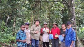 Plt. Kepala Dinas Perkebunan Fakfak, Widhi Asmoro Jati, ST, MT membagikan pupuk kepada pemilik kebun pada blok penghasil tinggi di 8 blok kebun yang dikelola Dinas Perkebunan Fakfak