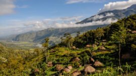 Alam Papua (Foto: Istock)