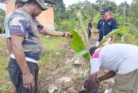 Perwakilan Dinas Perkebunan Fakfak, Constantinus Uswanas, S.ST, menyerahkan bibit kelapa kepada Ketua Dewan Stasi St. Marselus, Samuel Patiran dalam kegiatan Gerakan Tanam Kelapa Hibrida di lingkungan gereja.
