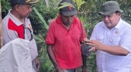 Plt. Kepala Dinas Perkebunan Fakfak Widhi Asmoro Jati, ST., MT., saat bersama masyarakat petani pala.