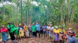 Dukungan Pemerintah Daerah dan Stakeholder, termasuk Perbankan sangat membantu masyarakat dalam mendorong Fakfak sebagai sentra Pala Nasional.