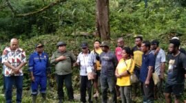 Wabup Drs. Donatus Nimbitkendik, MTP didampingi Plt. Kepala Dinas Perkebunan Fakfak, Widhi Asmoro Jati, ST, MT, melakukan peninjauan langsung lokasi calon demplot di kawasan akses strategis jalan nasional wilayah Kali Mati.