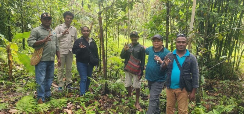Foto. Dinas Perkebunan (Disbun) Kabupaten Fakfak bersama Dinas Tanaman Pangan, Hortikultura, dan Perkebunan (DTPHP) Provinsi Papua Barat memprospek kelompok penangkar baru Kra Gula di Kampung Werba, Distrik Fakfak Barat.