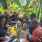 Foto. Pelatihan budidaya tanaman pala di Kabupaten Teluk Bintuni.