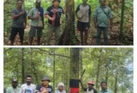 Foto. Plt. Kepala Dinas Perkebunan Fakfak Widhi Asmoro Jati, ST., MT., bersama para petani di salah satu wilayah Blok Penghasil Tinggi (BPT) Pala Tomandin.