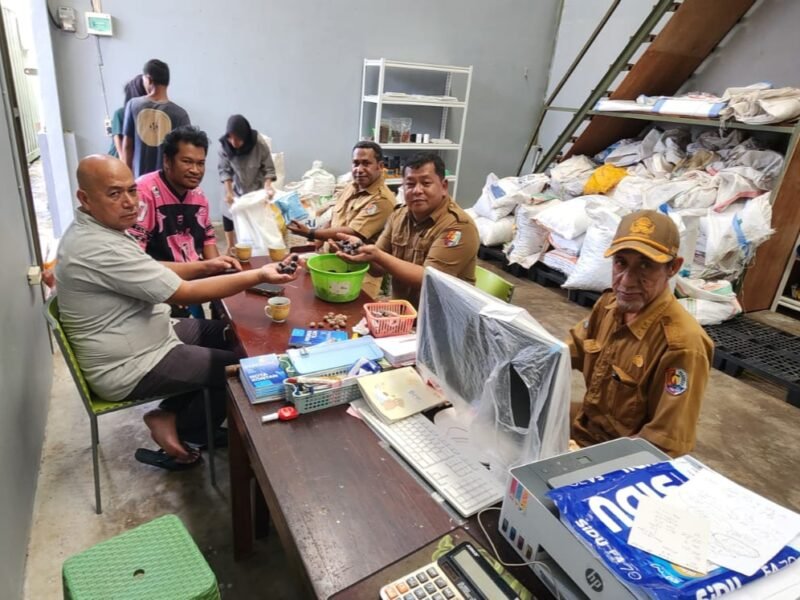 Kepala Dinas Perkebunan Fakfak Widhi Asmoro Jati, ST. MT., melakukan inspeksi langsung kepada salah satu pelaku usaha.